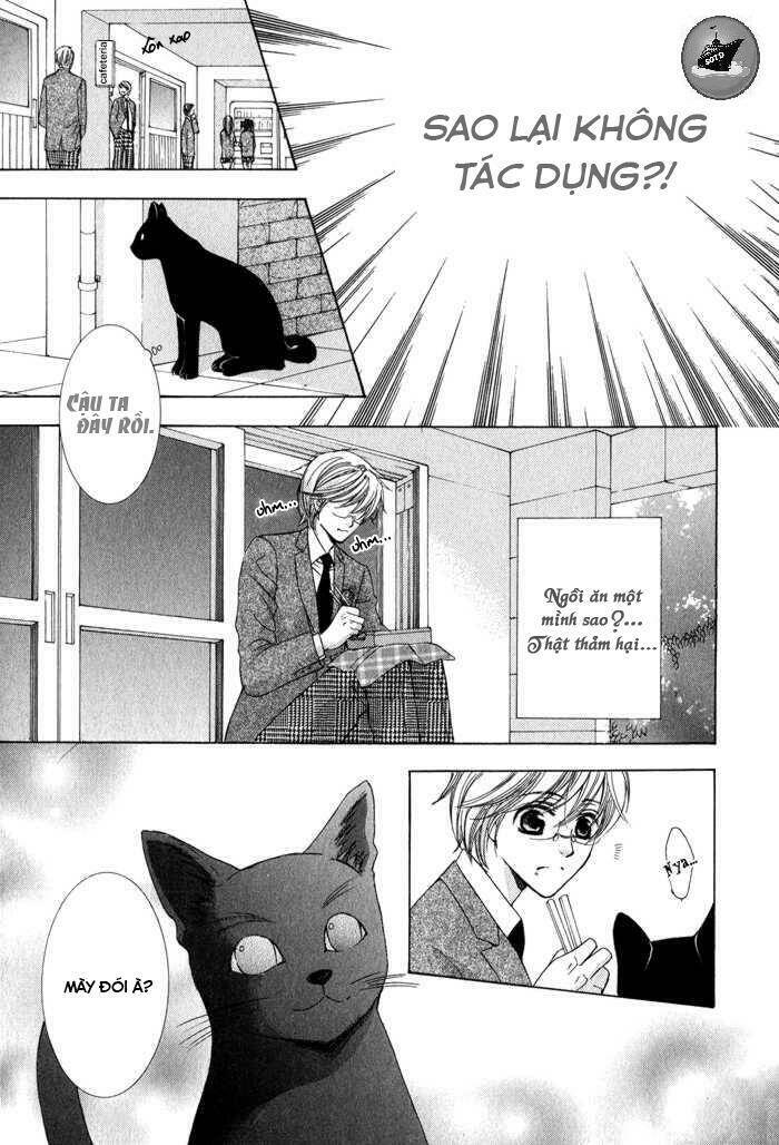 neko mata chapter 6 5