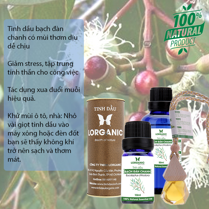 Tinh dầu bạch đàn chanh Lorganic Eucalyptus citriodora 10ml