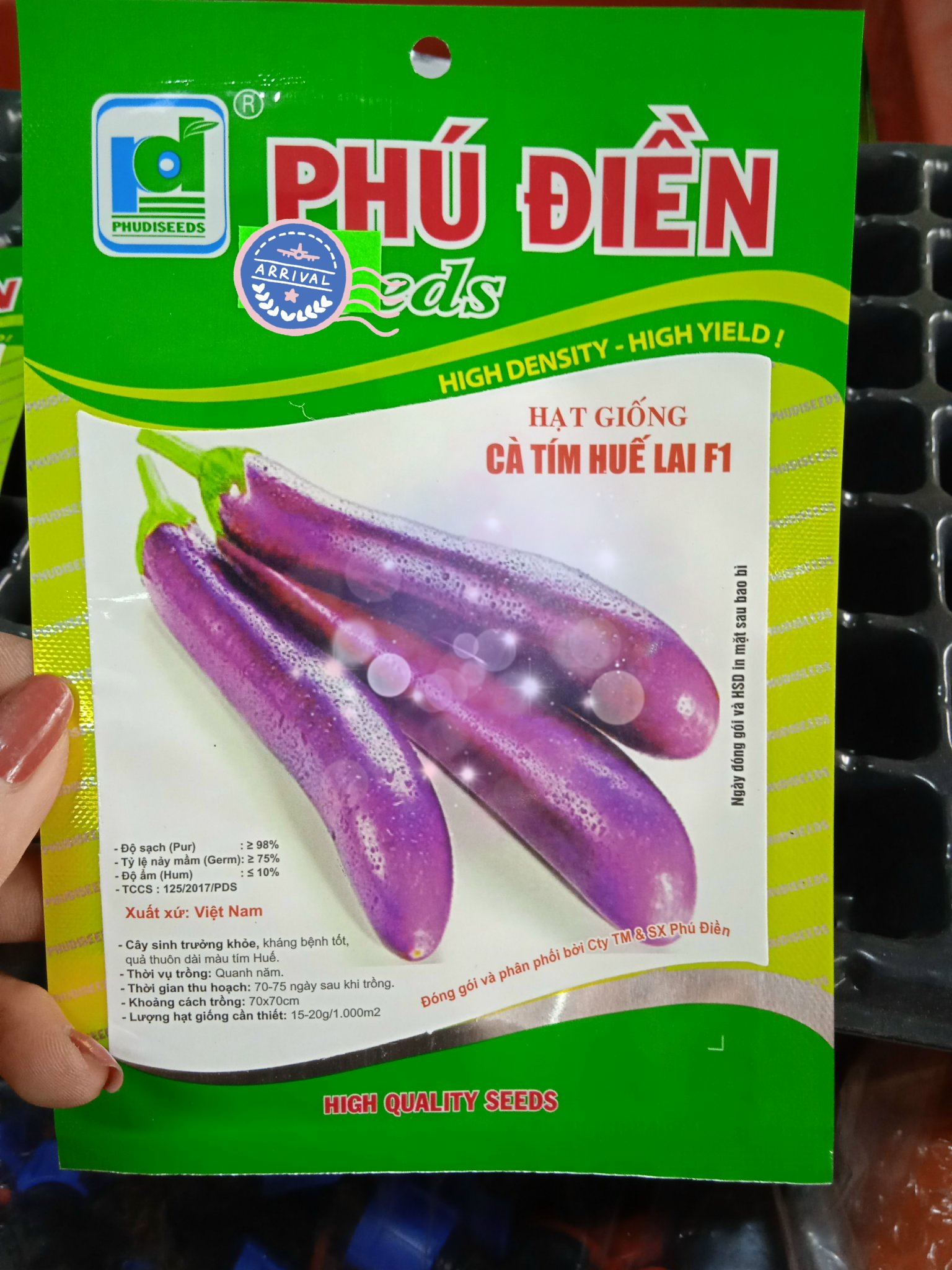 Hạt giống cà tím quả dài Hạt giống rau củ