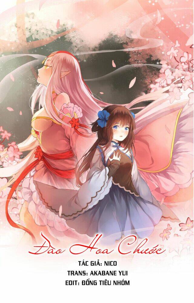 đốt đào hoa chapter 25.2 33