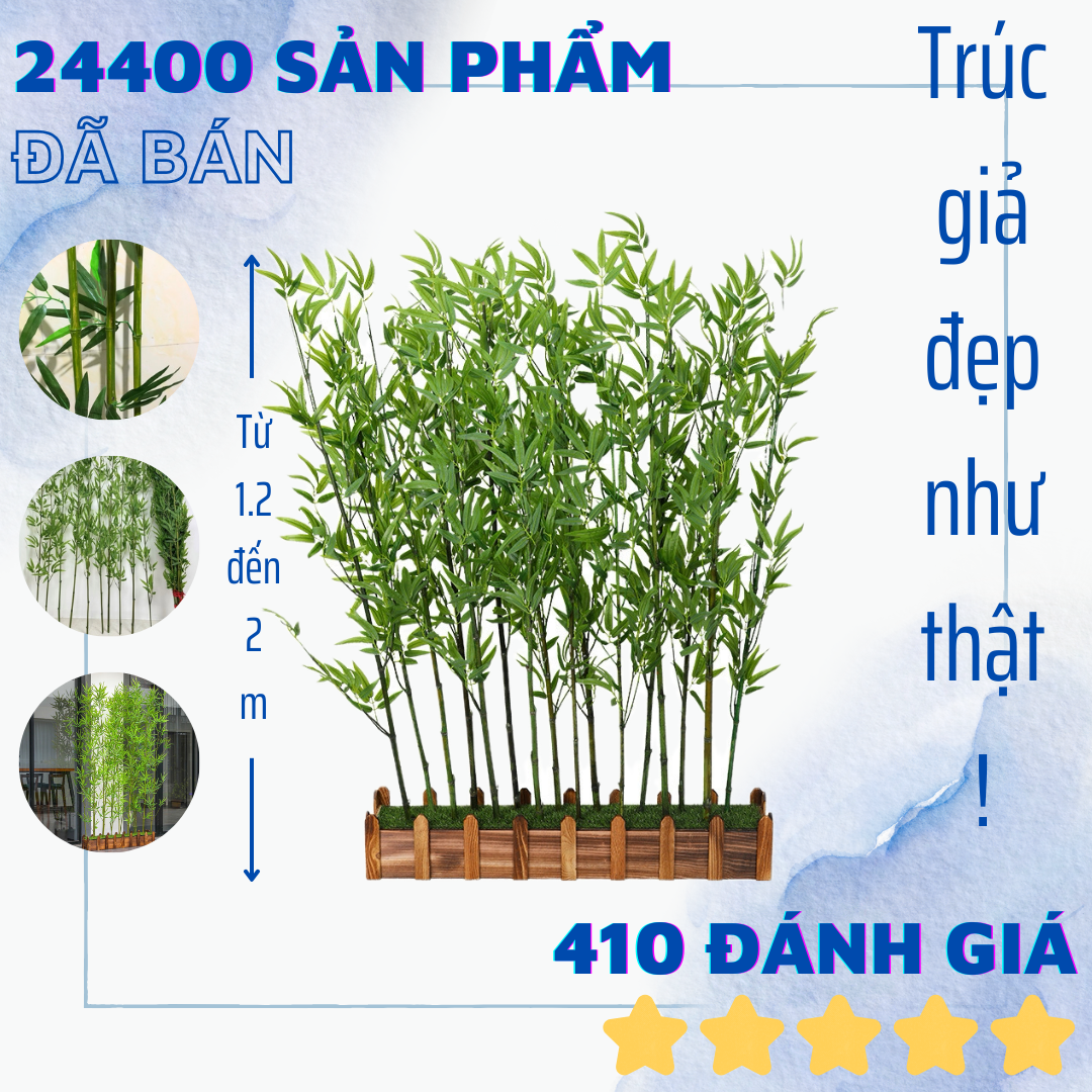 Set 30 cây trúc độ cao từ 120cm đến 200cm