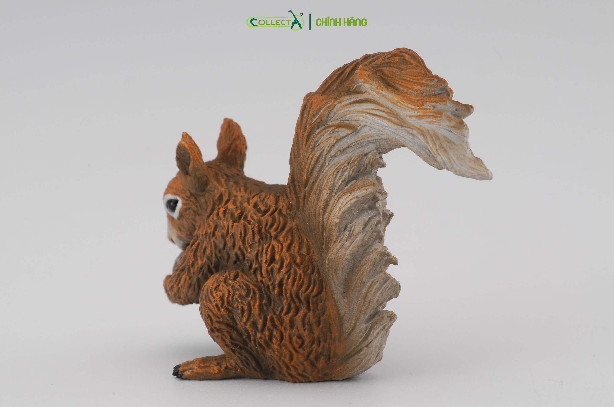 Mô hình thu nhỏ: Sóc - Red Squirrel - Eating, hiệu: CollectA, mã HS 9651330[88467] -  Chất liệu an toàn cho trẻ - Hàng chính hãng