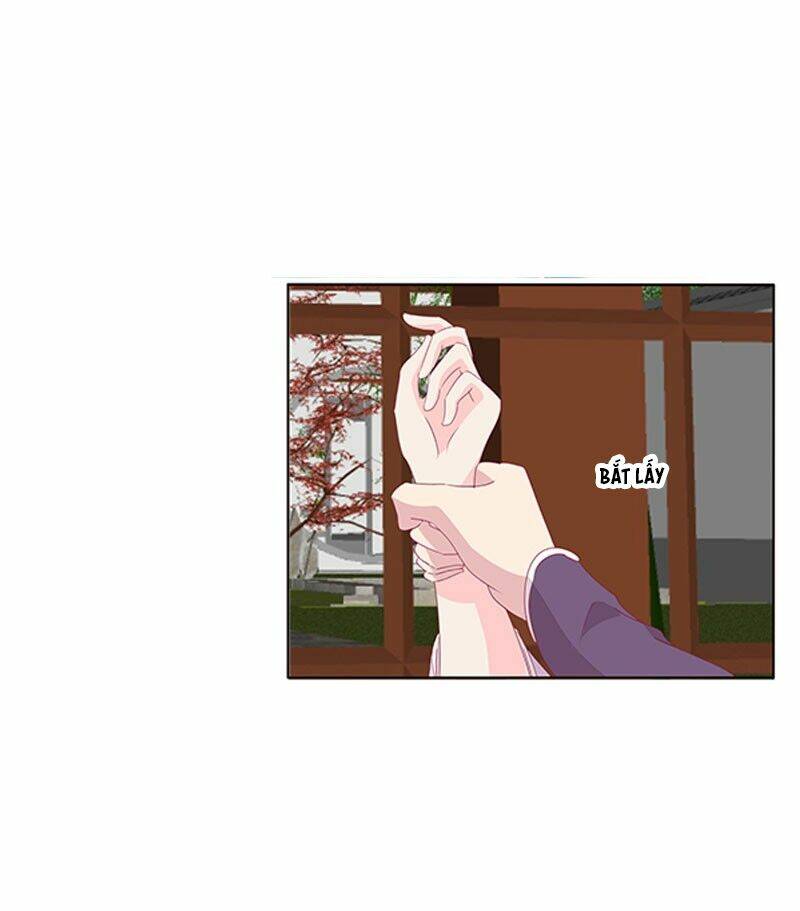 tướng quân mời ra trận chapter 81 7