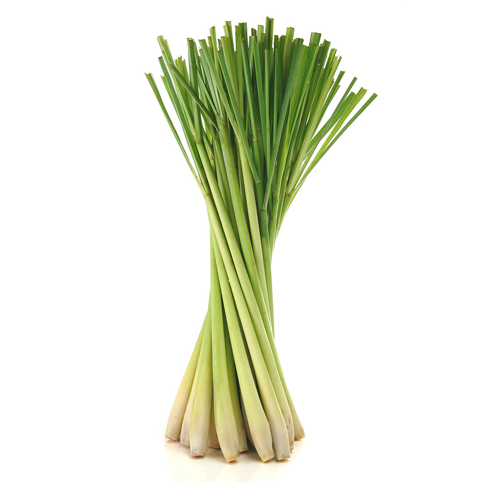 - Sả cây hữu cơ Organicfood - 300g