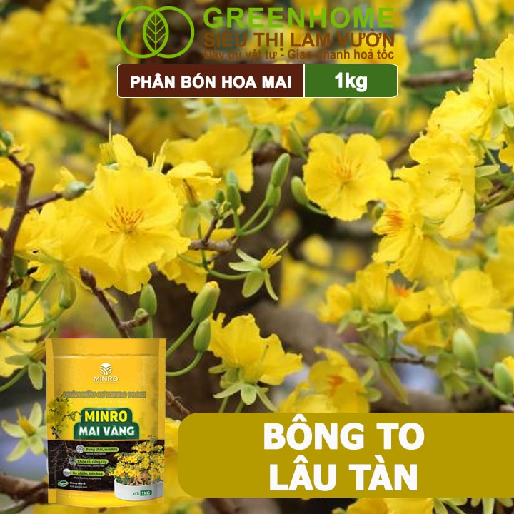 Phân Bón Hoa Mai Greenhome, Minro, Bao 1kg, Hữu Cơ, Dưỡng Cây, Bung Chồi, Mượt Lá, Khoẻ Rễ, Bền Hoa