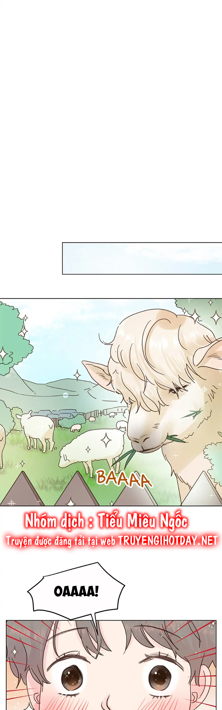 sự trả thù ngọt ngào của vợ tôi chapter 146 11