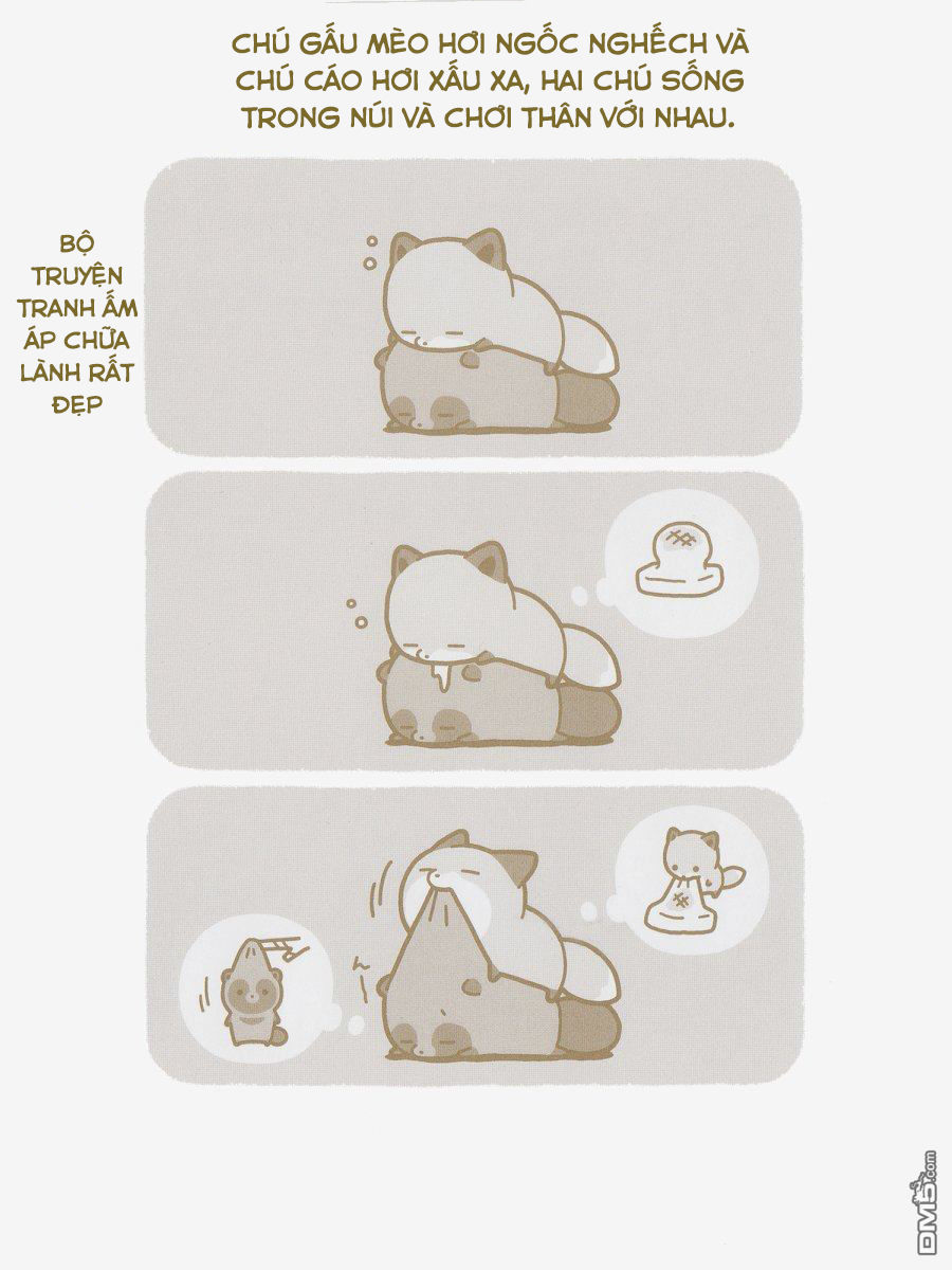 cáo và gấu mèo chapter 1 4