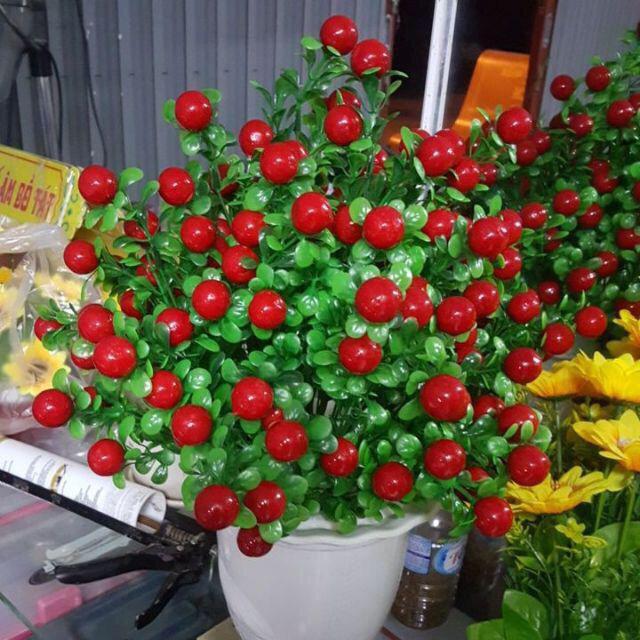 Cây Giả, Cành Quả Chery Tuyệt Đẹp Trang Trí Nhà Cửa Cành Cao 35cm Chưa Kèm Chậu