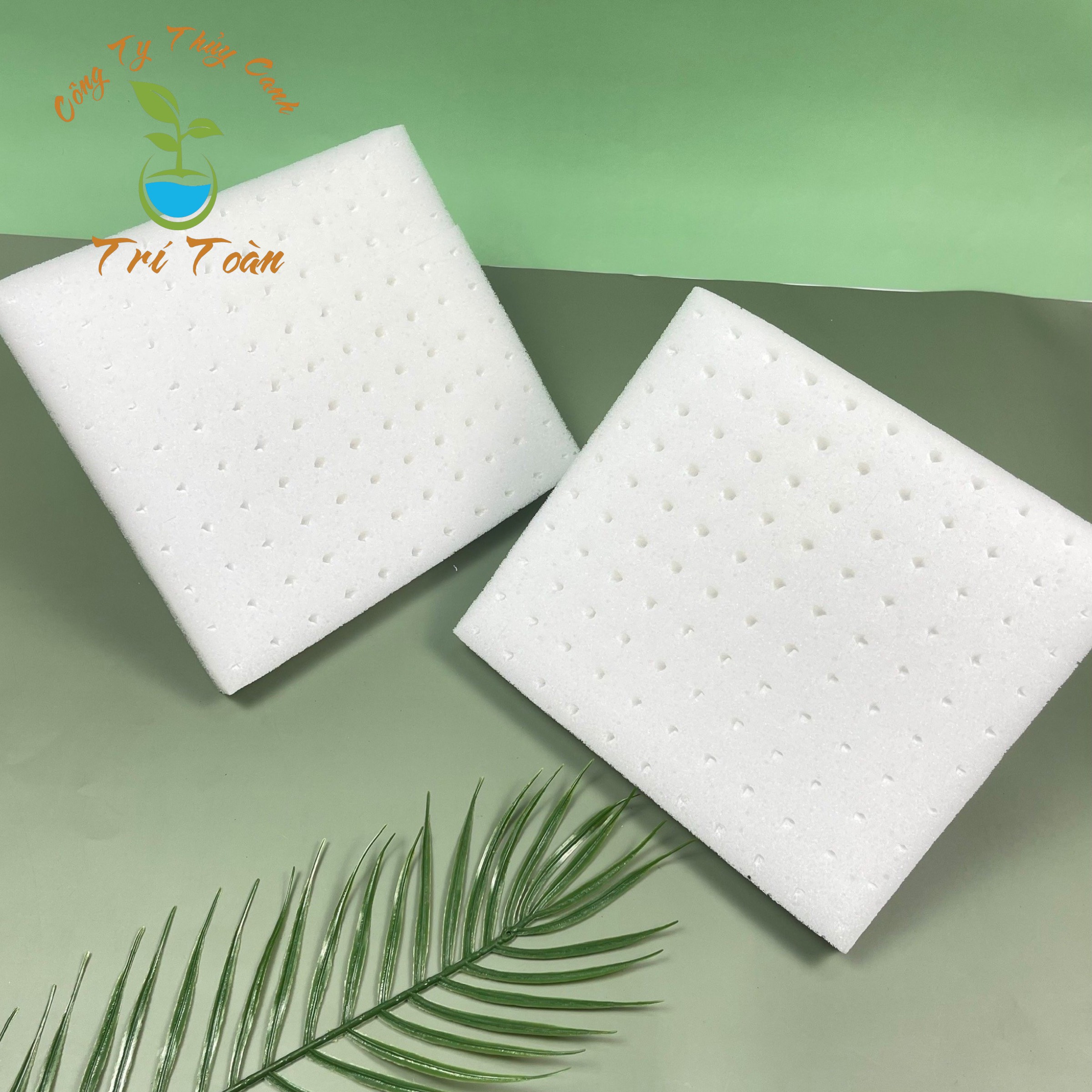 Mút ươm hạt giống trồng cây gồm 110 viên