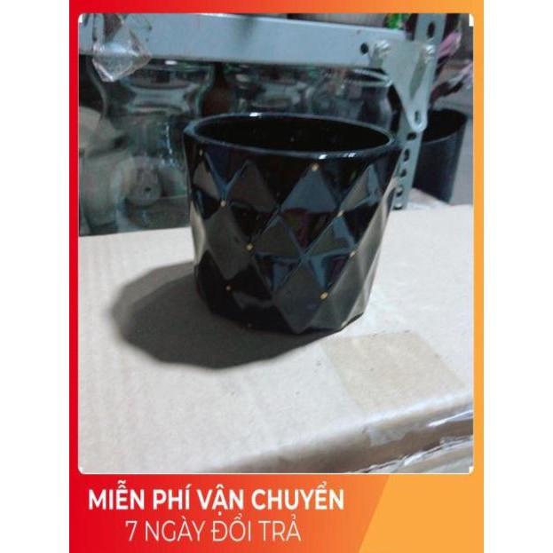 Chậu Trồng Cây