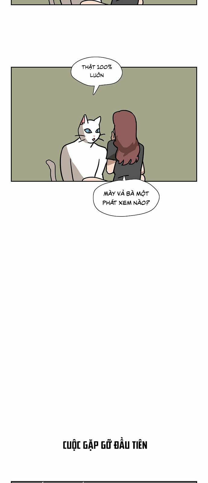 hoàng tử vương quốc mèo chapter 1 12