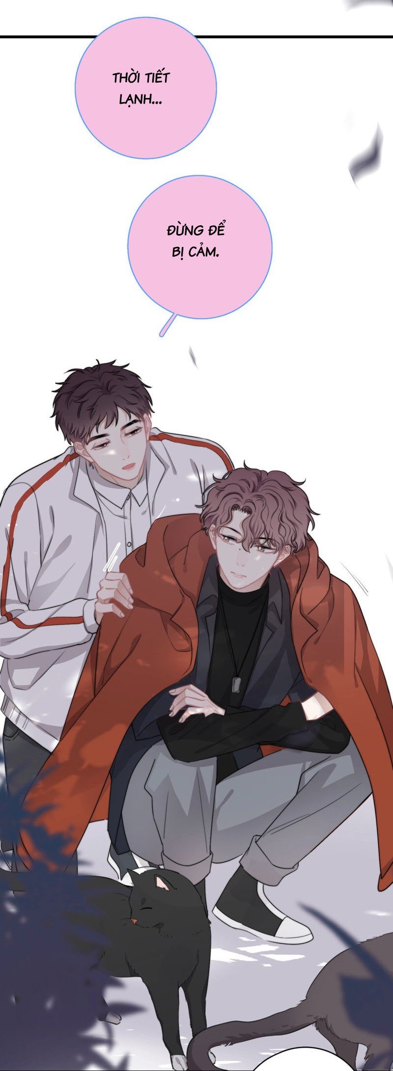 người đàn ông ấy khiến tôi không thể cưỡng lại chapter 11 52