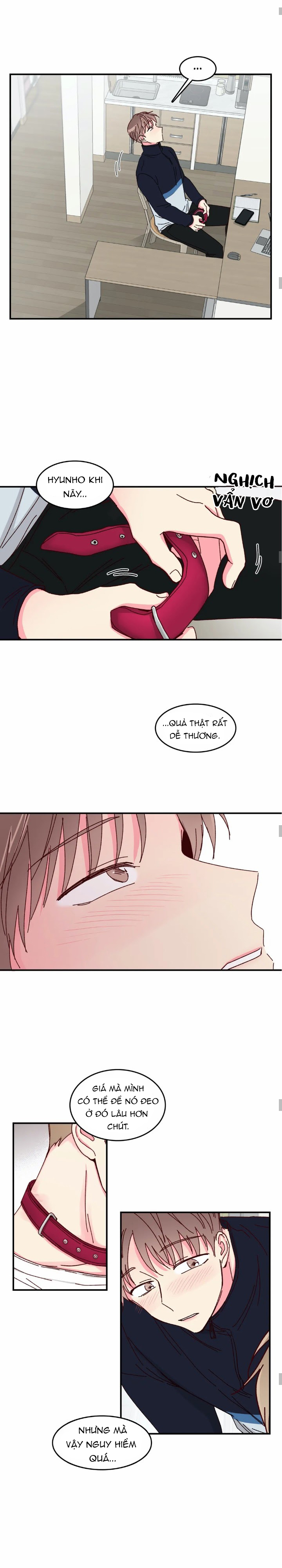 món tráng miệng của sếp tổng chapter 16 4