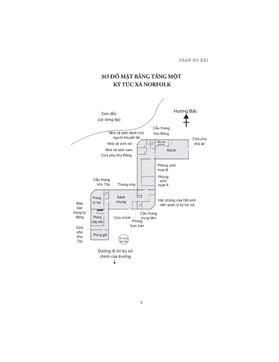 Dê Mắt Quỷ - 1980
