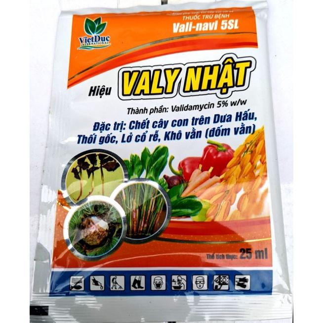 Thuốc trừ bệnh Valy Nhật, Đặc trị thối gốc, chết cây con, lở cổ rễ, khô vằn, chết ẻo cây con cà chua, rau, hoa cây cảnh