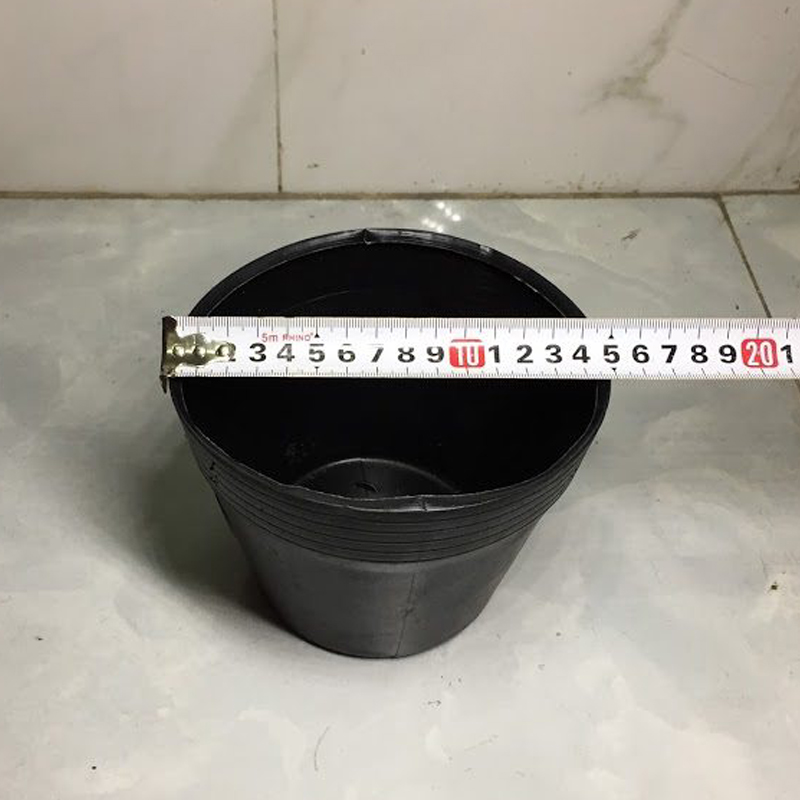 100 Chậu nhựa C6 trồng cây và ươm cây giống miệng.cao 14x12 cm -77100