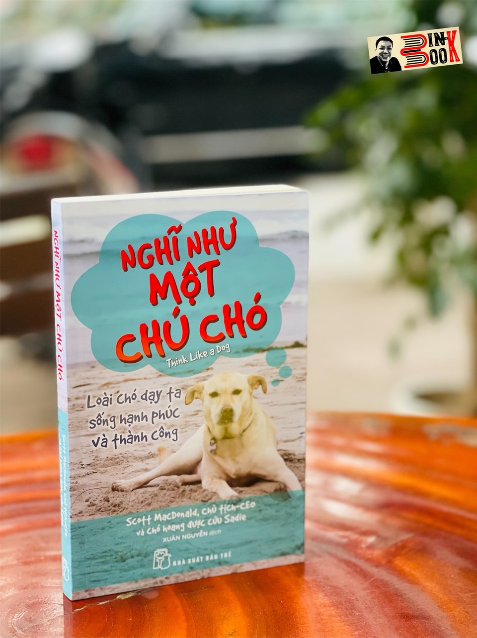 Nghĩ Như Một Chú Chó - Scott Macdonald, Chủ Tịch - Ceo Và Chó Hoang Được Cứu Sadie Nxb Trẻ - Xuân Nguyễn Dịch Nxb Trẻ - Bìa Mềm