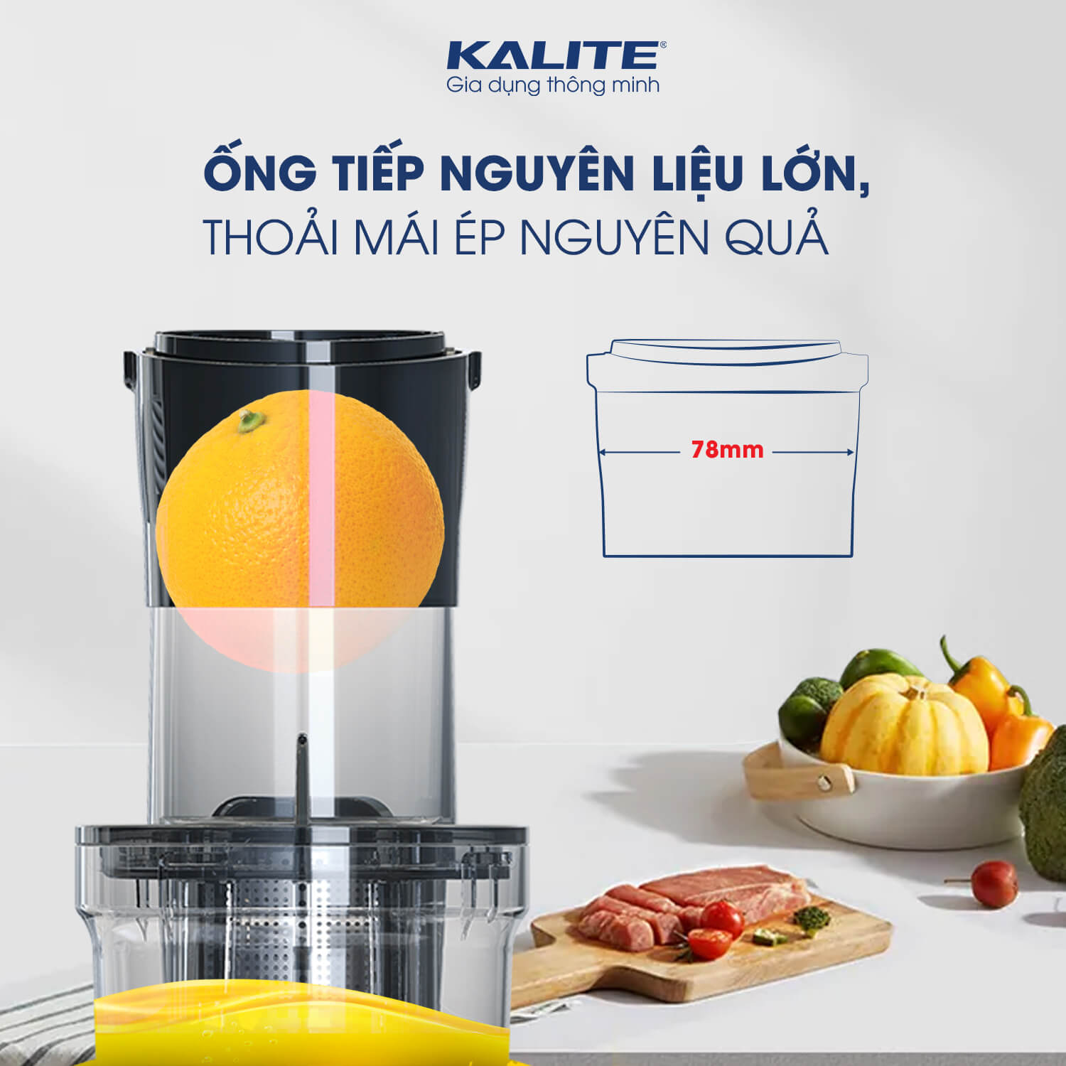 Máy Ép Trái Cây, Máy Ép Chậm Mini KALITE KSJ4414 Tiêu Chuẩn Châu Âu Dung Tích 400 ML Công Suất 200 W - Hàng Chính Hãng