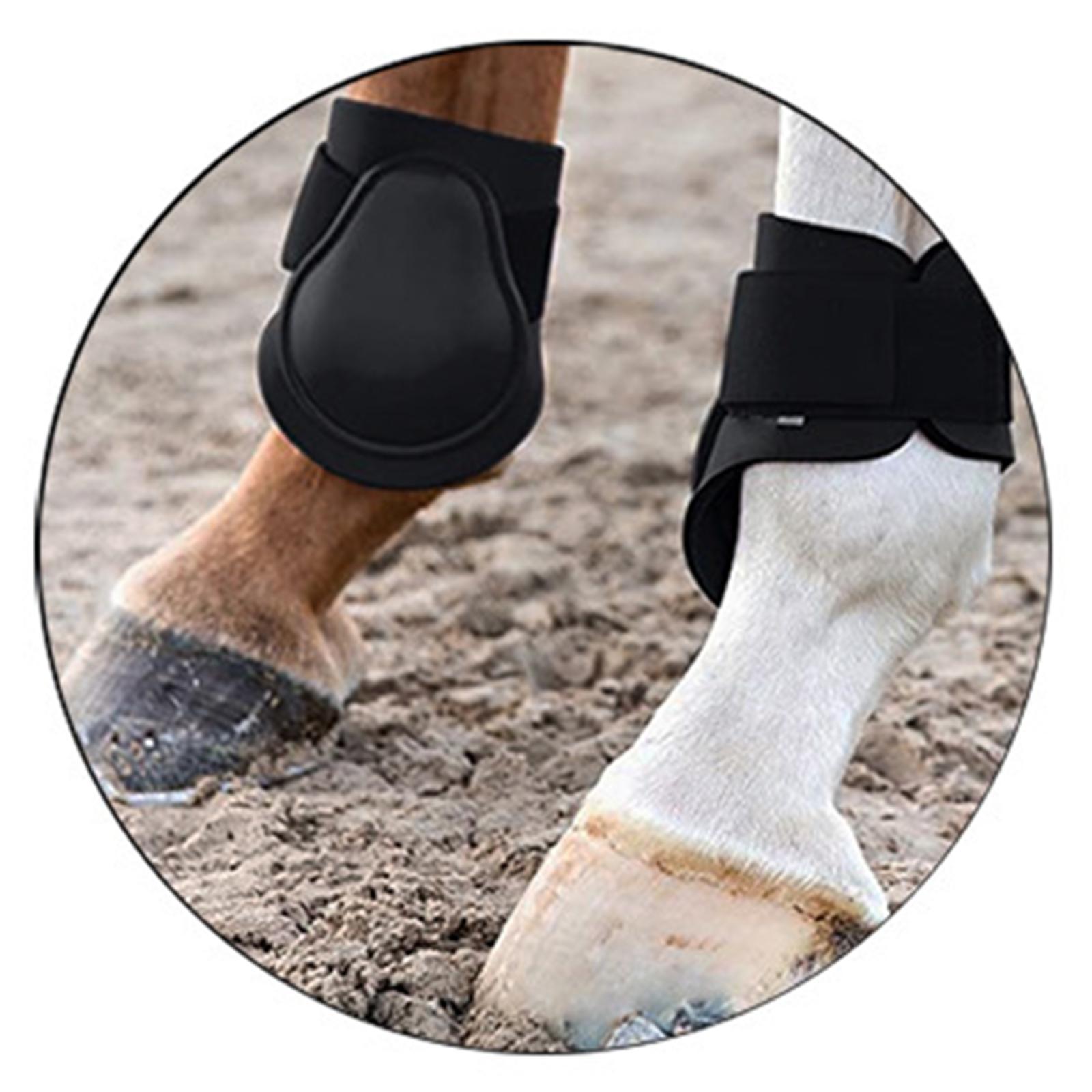 Horse Tendon Fetlock Boots Set Jumping Leg Protection Boots