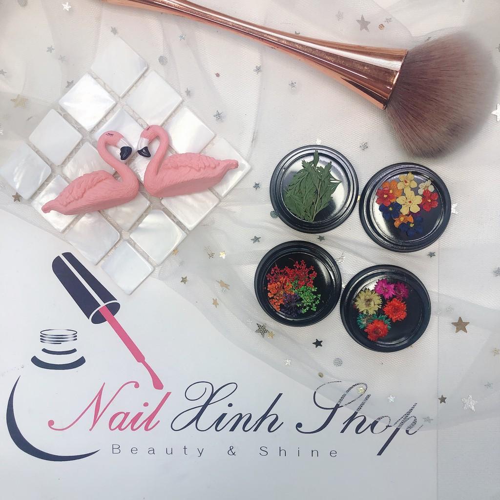Hoa khô trang trí móng nail, set hoa khô cao cấp 4 in 1, phụ kiện nail hot 2020