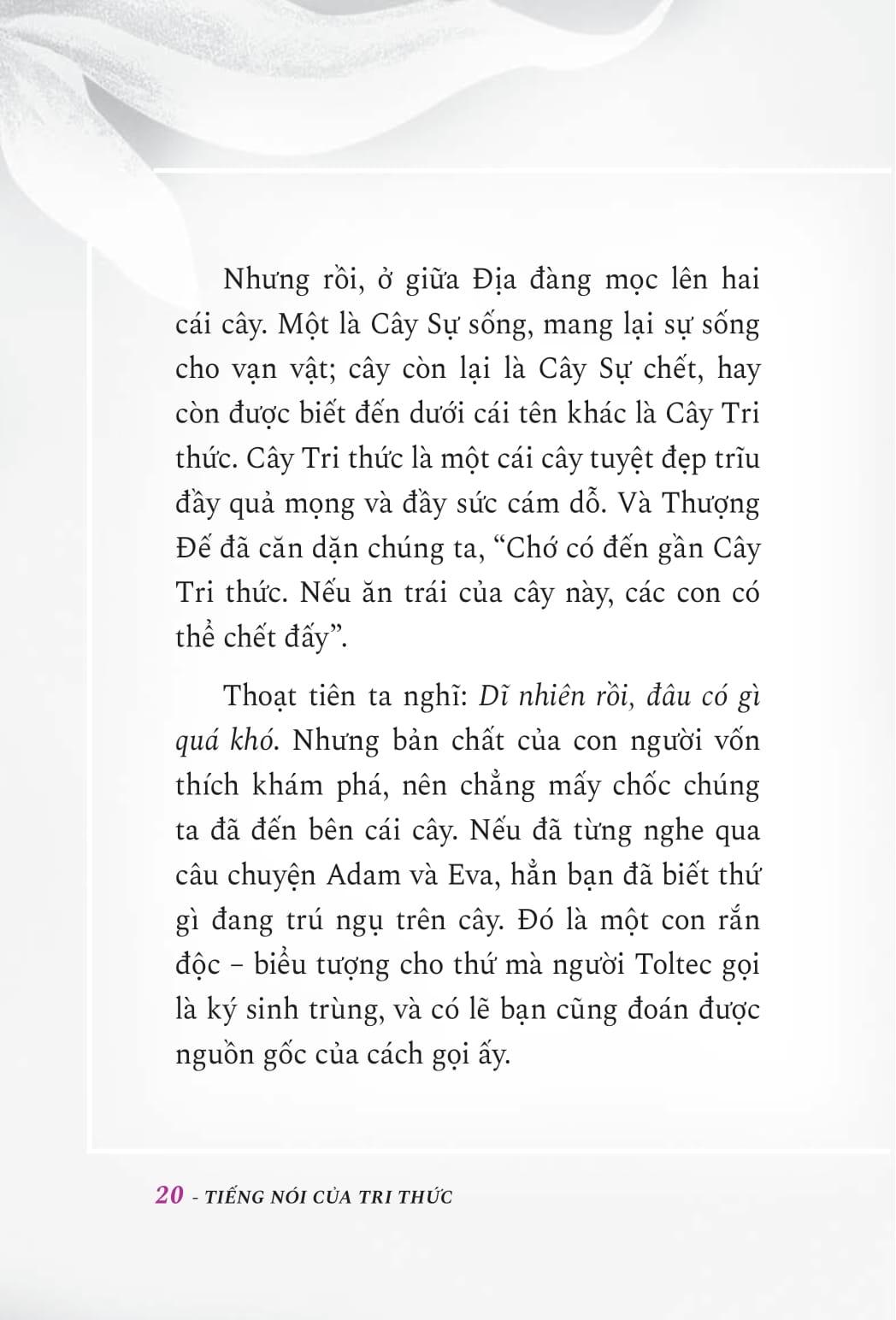 Tiếng Nói Của Tri Thức