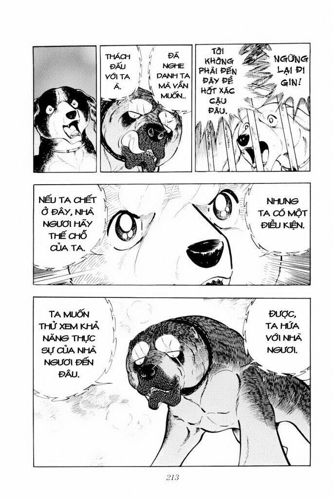 chú chó có nghĩa - ginga nagareboshi gin chapter 29 27