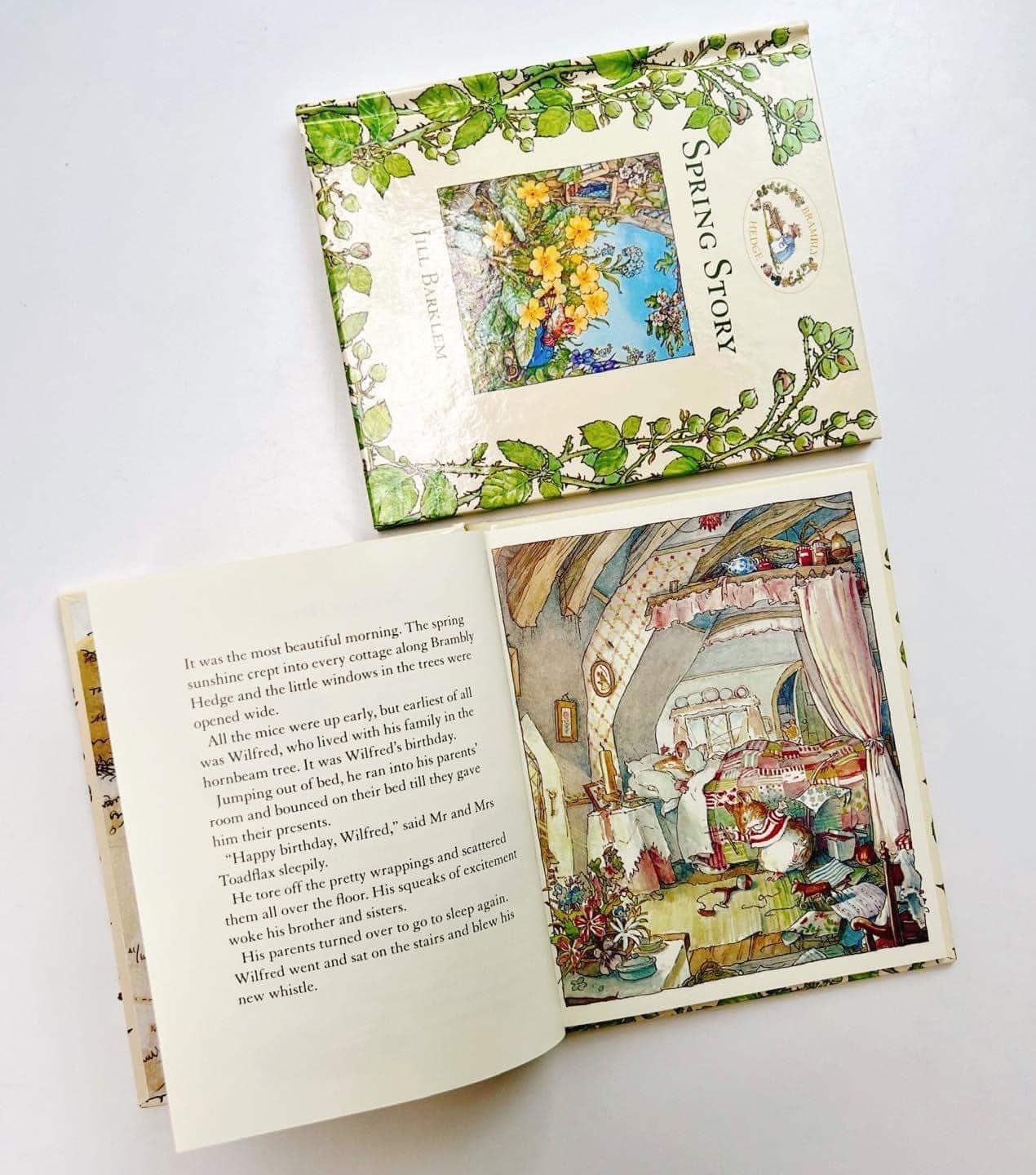 The Brambly Hedge Library Collection - 8 Books ( Miền Dâu Dại Bản Tiếng Anh) | Sách Nhập Khẩu