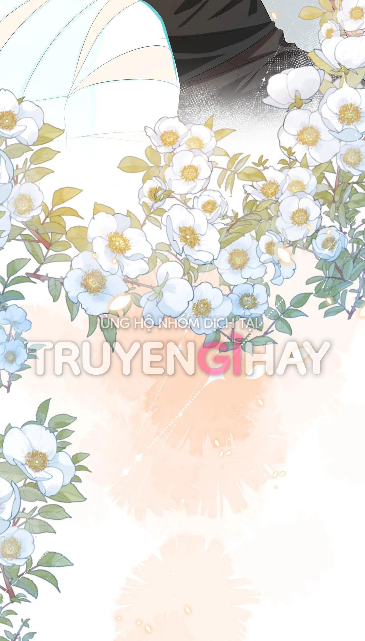 nhân ngư sa ngã chapter 4.2 19