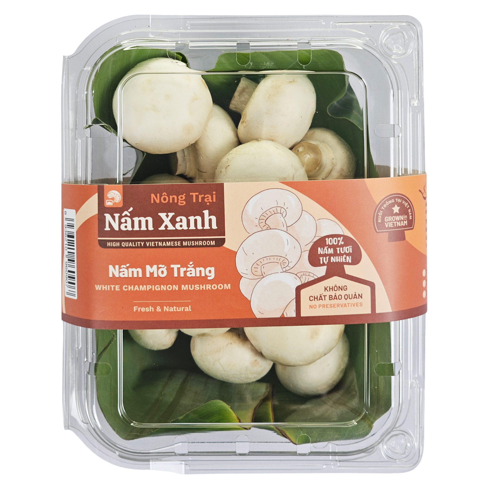 Nấm Mỡ Trắng Tươi 200gr 600gr 1kg - Nông Trại Nấm Xanh