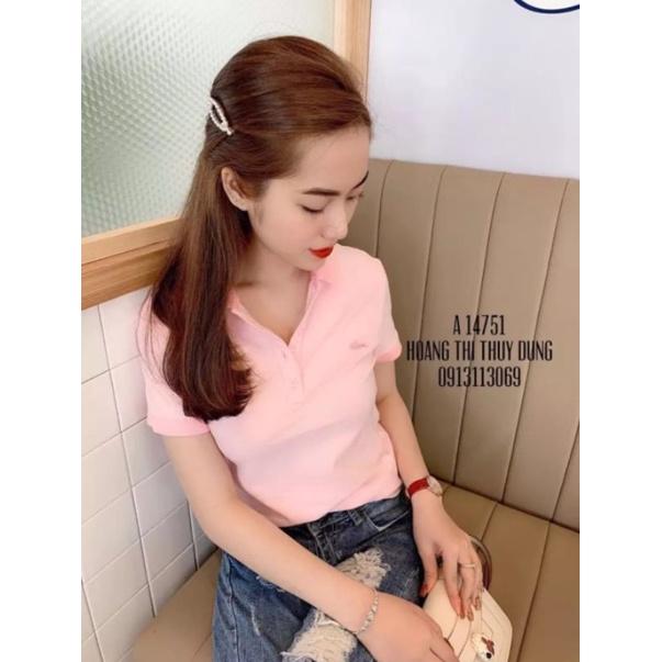 Áo Thun Cotton Nữ Cao Cấp Ảnh Thật Size 45_55kg