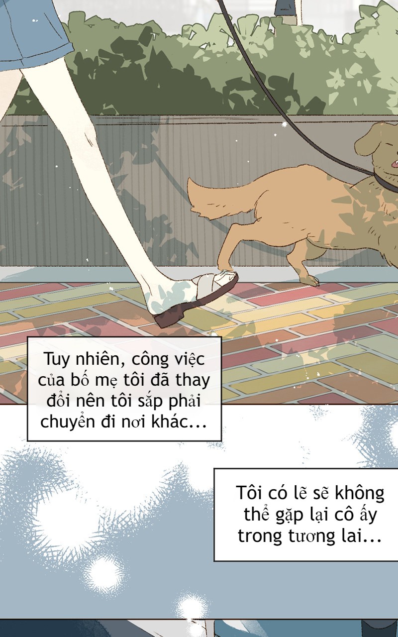 câu chuyện tình yêu kỳ lạ chapter 19 71