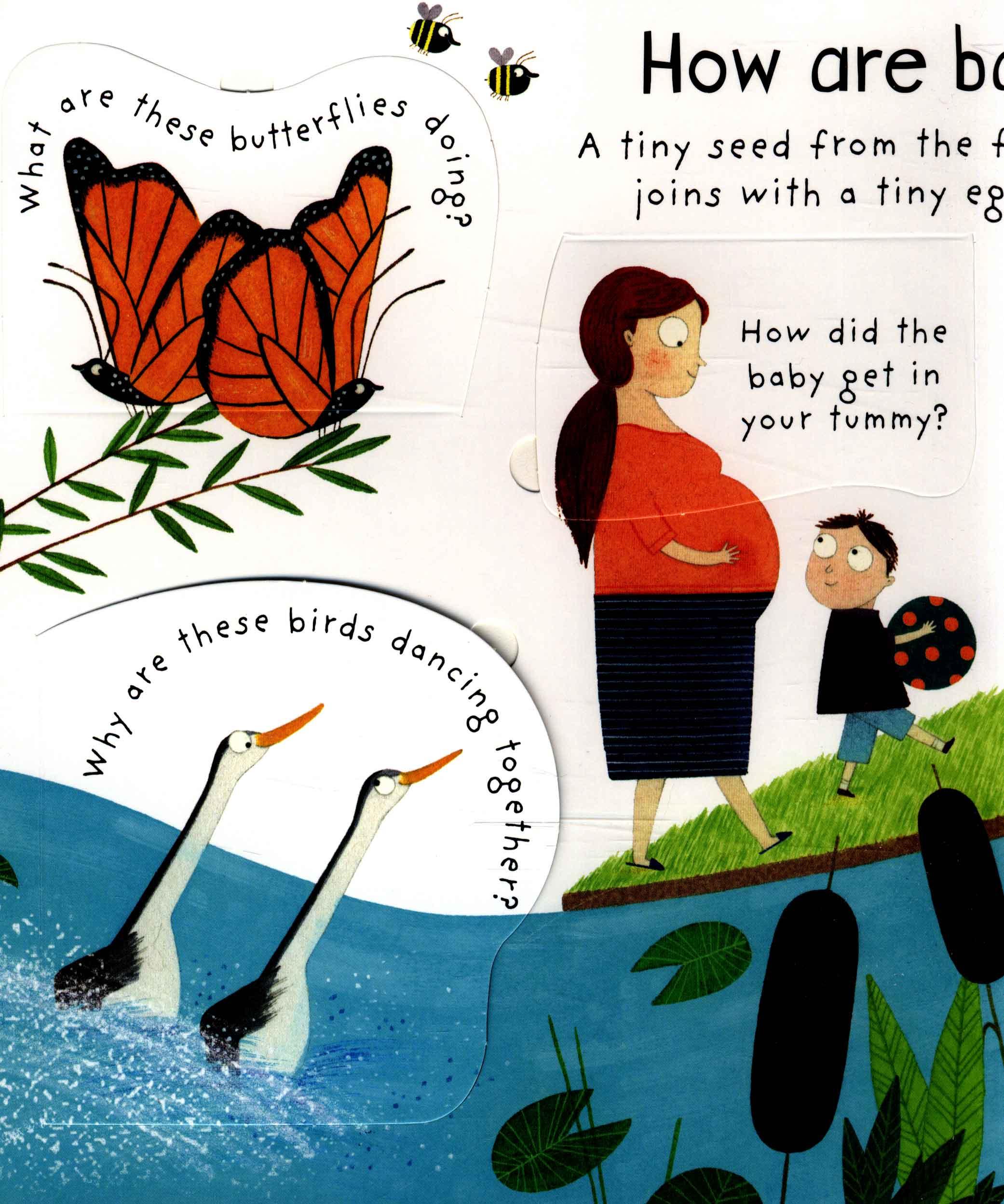 Usborne Where do babies come from?