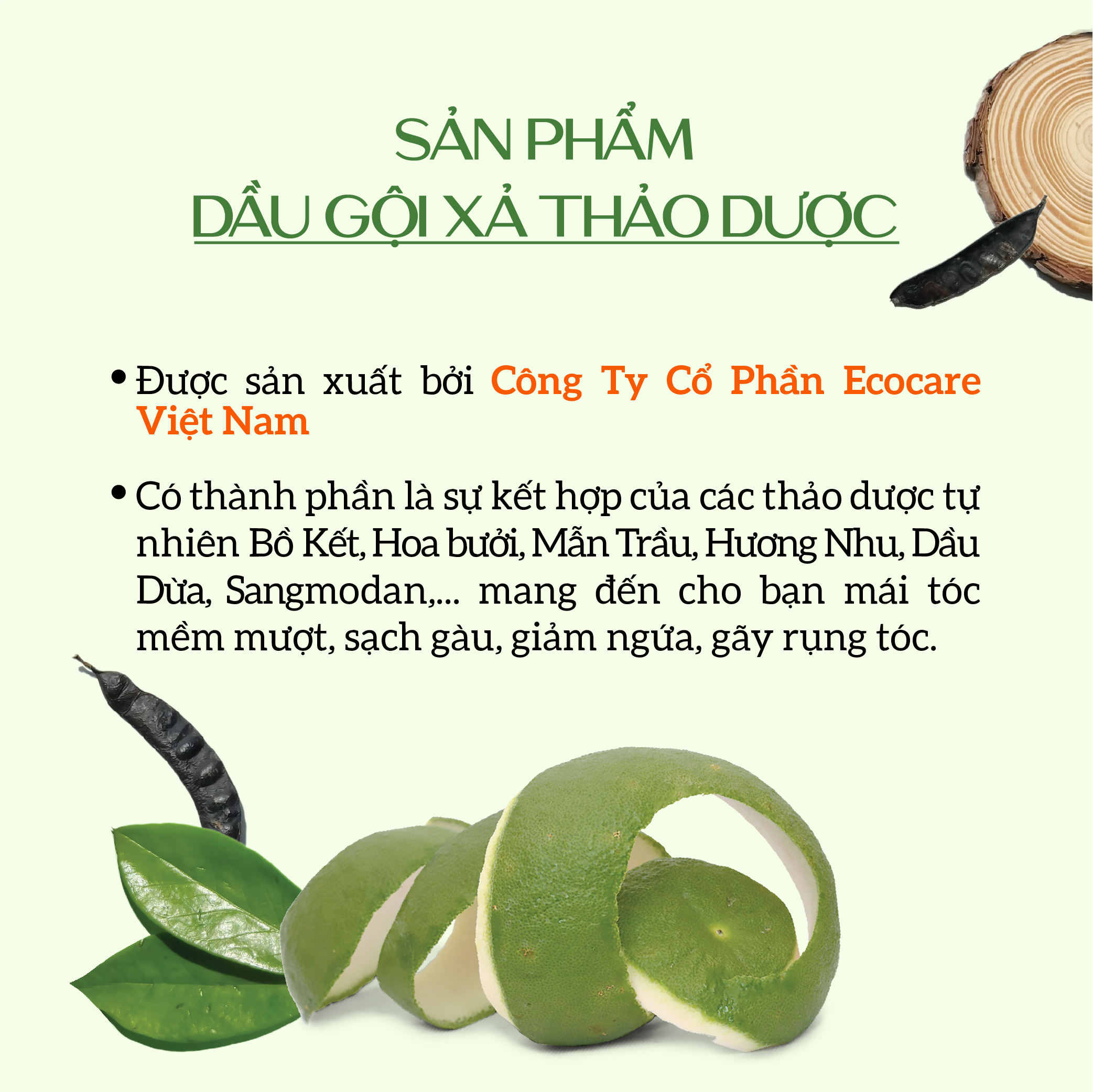 Dầu Gội Xả Cao Cấp Ecocare 300ml Dưỡng Tóc Mềm Mượt, Giảm Gàu Ngứa Nuôi Dưỡng Da Đầu