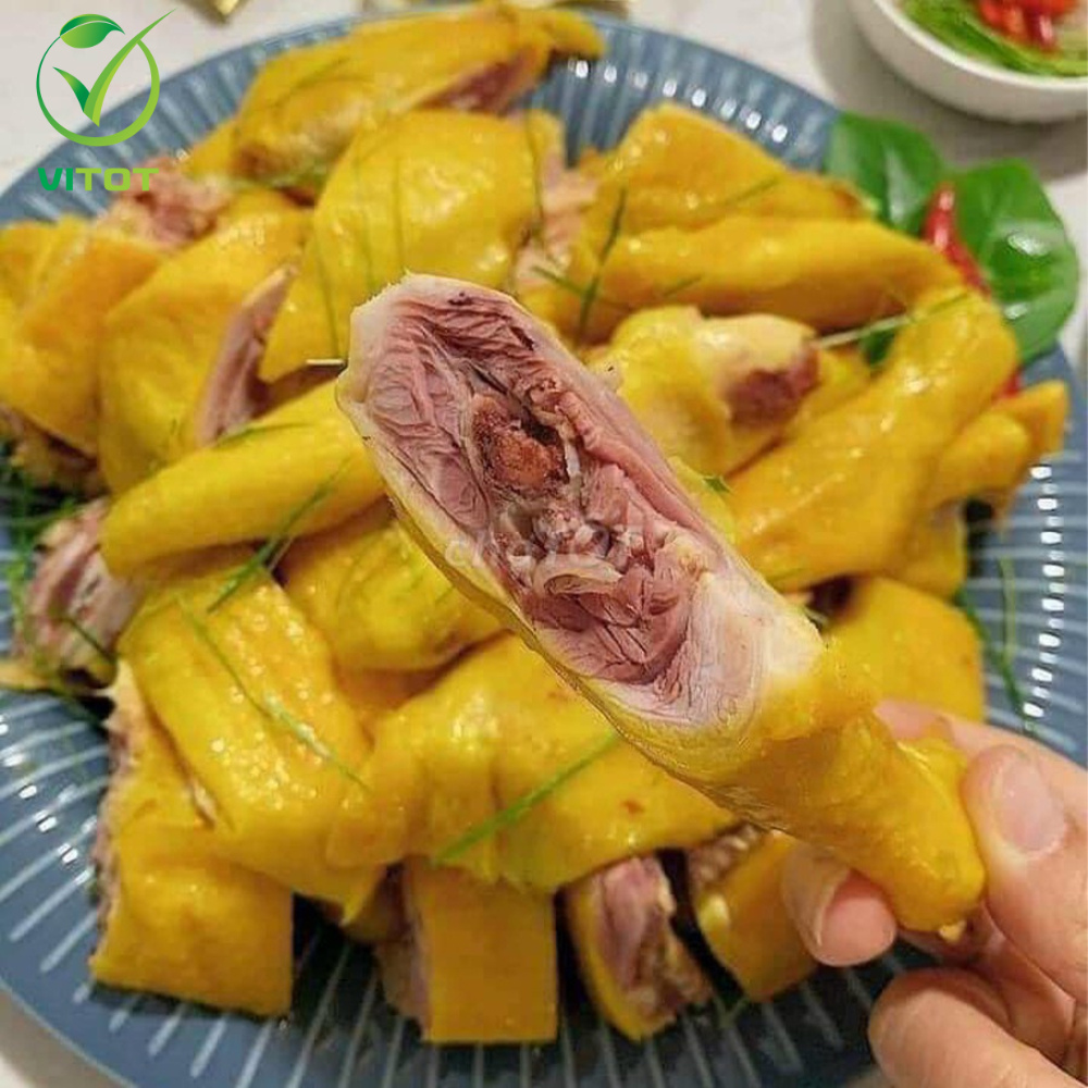 - GÀ Ủ MUỐI HOA TIÊU ĂN LIỀN VITOT FOOD