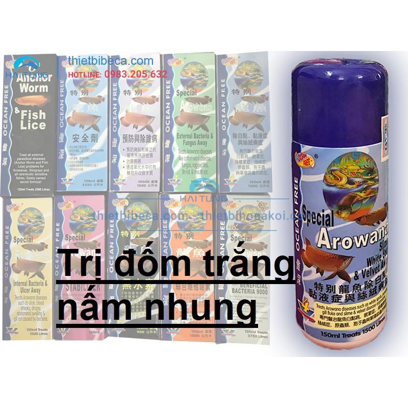 CÁ RỒNG CHAI SỐ 4 OCEAN FREE