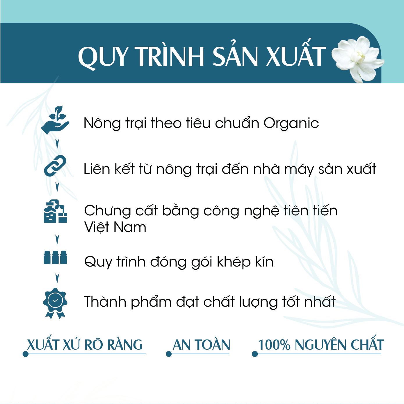 Combo 2 Tinh dầu Xịt phòng hương Quế + Sả Java Hữu Cơ Organic 24Care 100ML/Chai - Có giấy Công bố của Bộ Y Tế