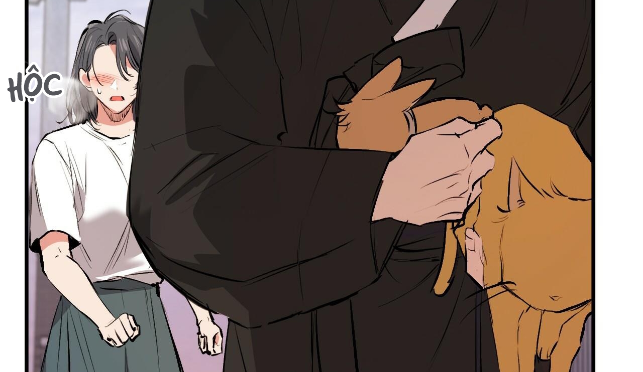 đàn thỏ của habibi chapter 50 282