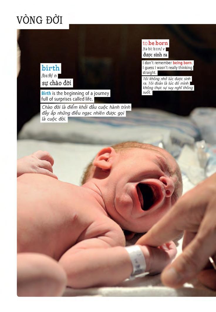 Sách Học Tự Vựng Tiếng Anh Qua Hình Và Ví Dụ Minh Họa