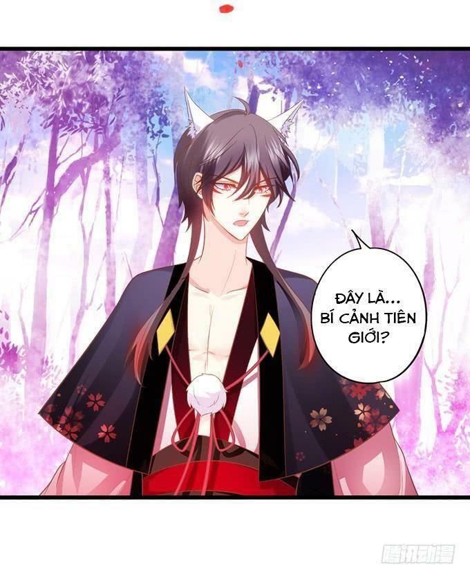 hồ tiên hung bạo chapter 97 31