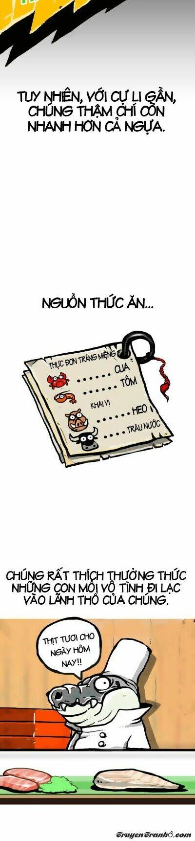 earth, human, and animal chapter 6 9