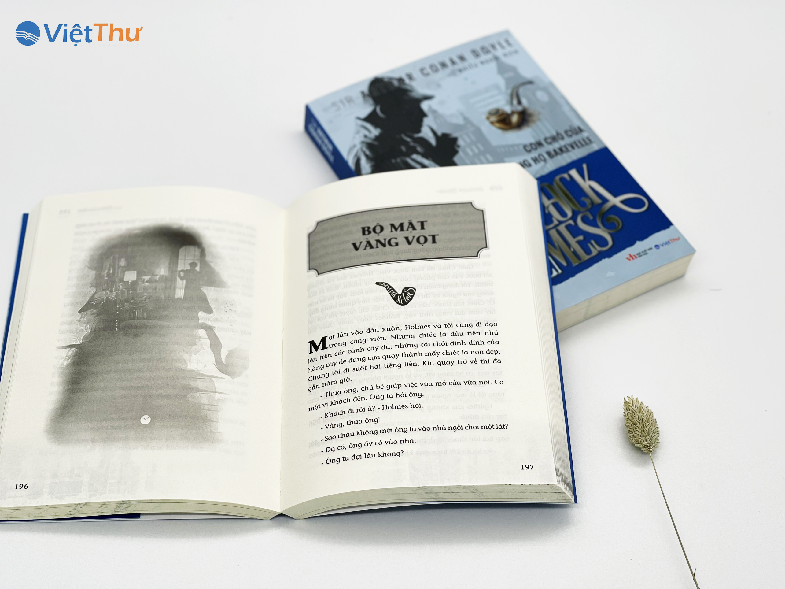 Sherlock Holmes - Con Chó Của Dòng Họ BAKJEVELLE