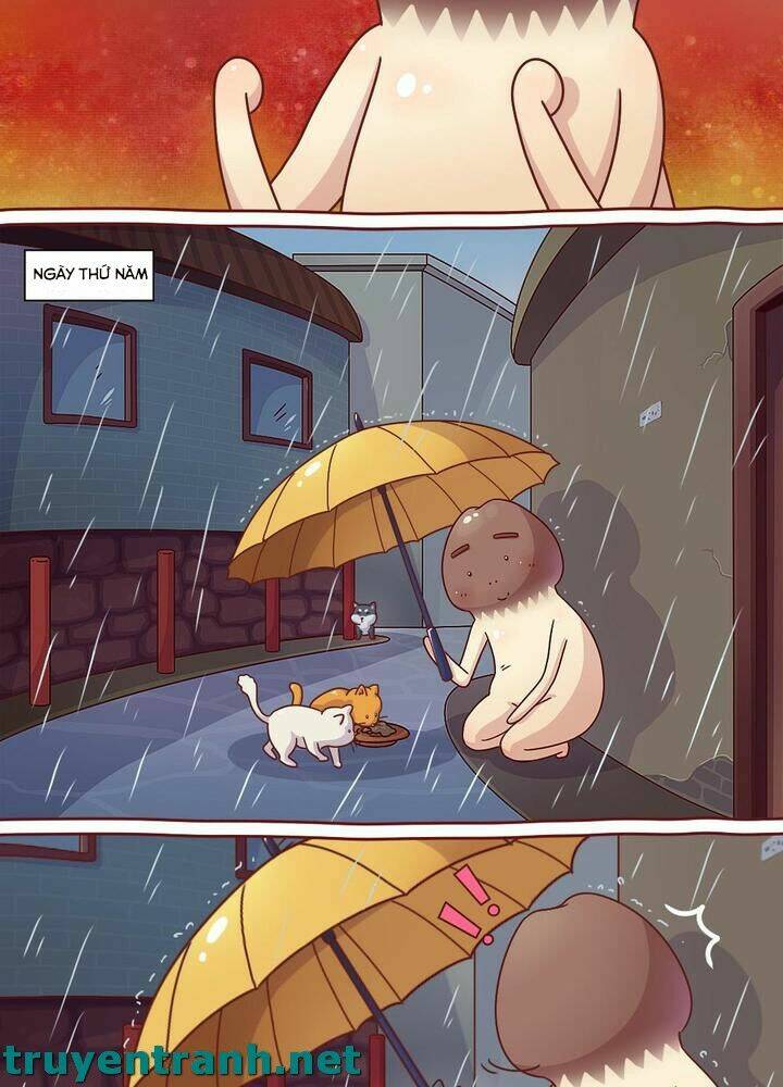 cây nấm kì khả chapter 10 8