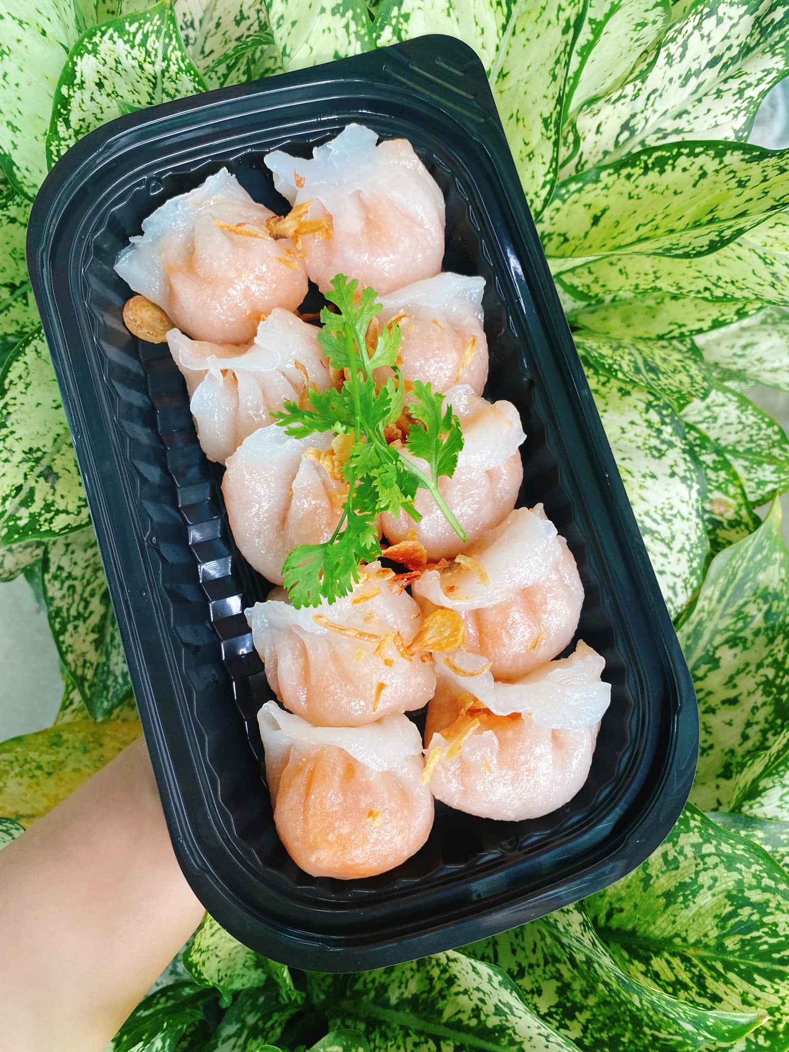 25 Hộp Nhựa HỮU PHONG Cao Cấp Có Nắp, Đựng Sushi, Chả Giò, Cơm, Bún, Trái Cây.. Dùng 1 Lần An Toàn, Nhựa Nguyên Chất 100%- Chính Hãng SS001( Tặng Móc Khóa Ketilo)