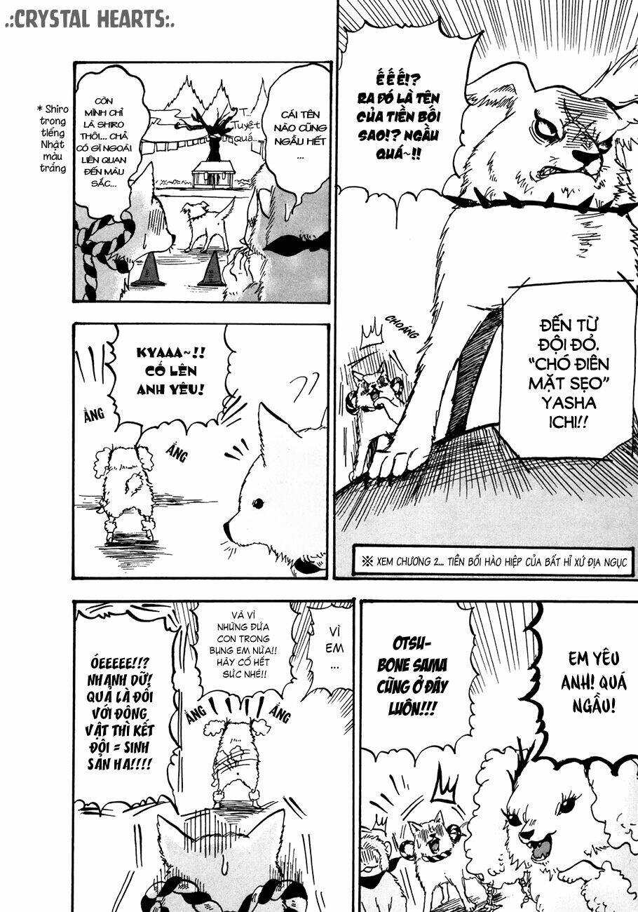 cậu bé quả đào chapter 10 11