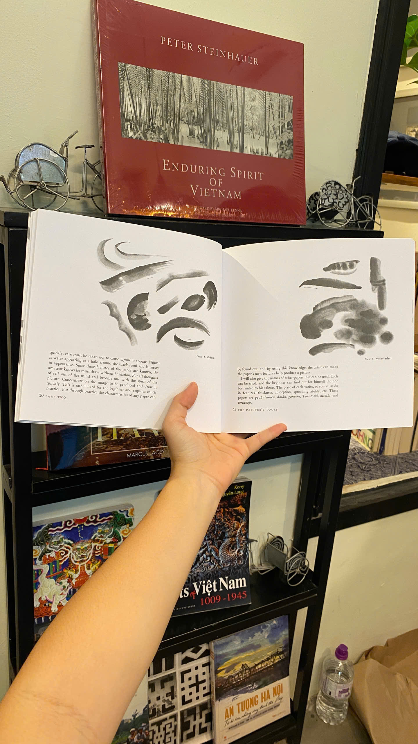 Sách - Japanese Ink Painting: Lessons in Suiboku Technique | Art & Design / Nghệ thuật Vẽ Nhật Bản