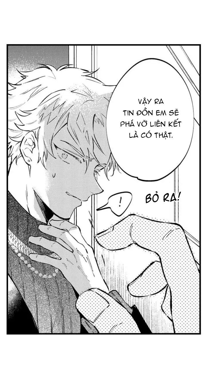 [18+]anh alpha kia! ly hôn đi chapter 7.1 4