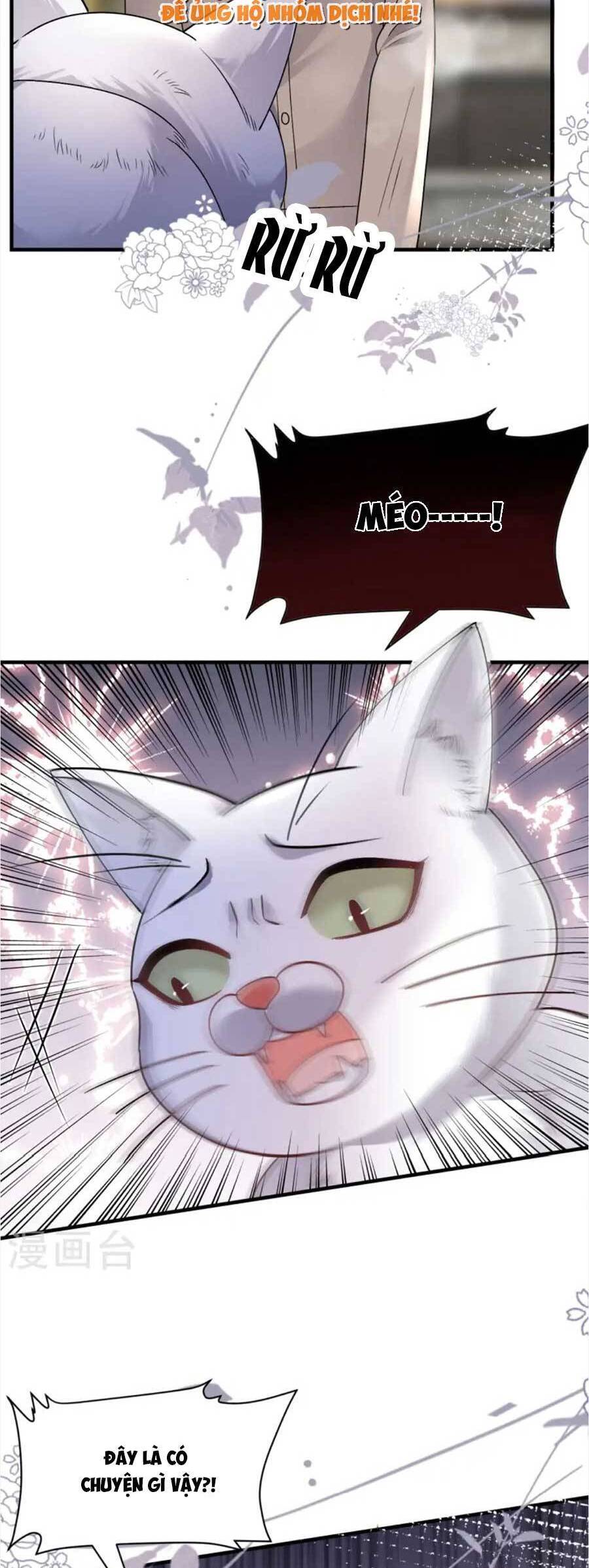 đại tiểu thư có thể có cái gì xấu chapter 176 24