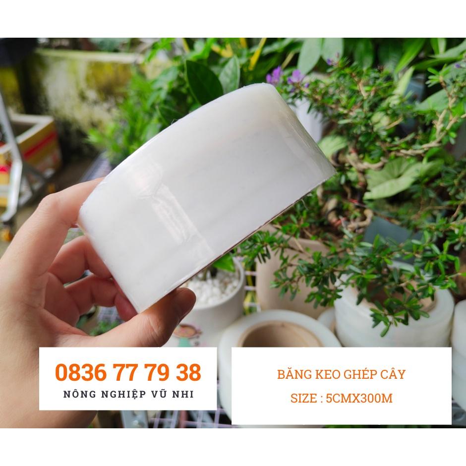 Băng keo ghép cây tự dính, tự hủy size 5cmx300m - hatgiong24h