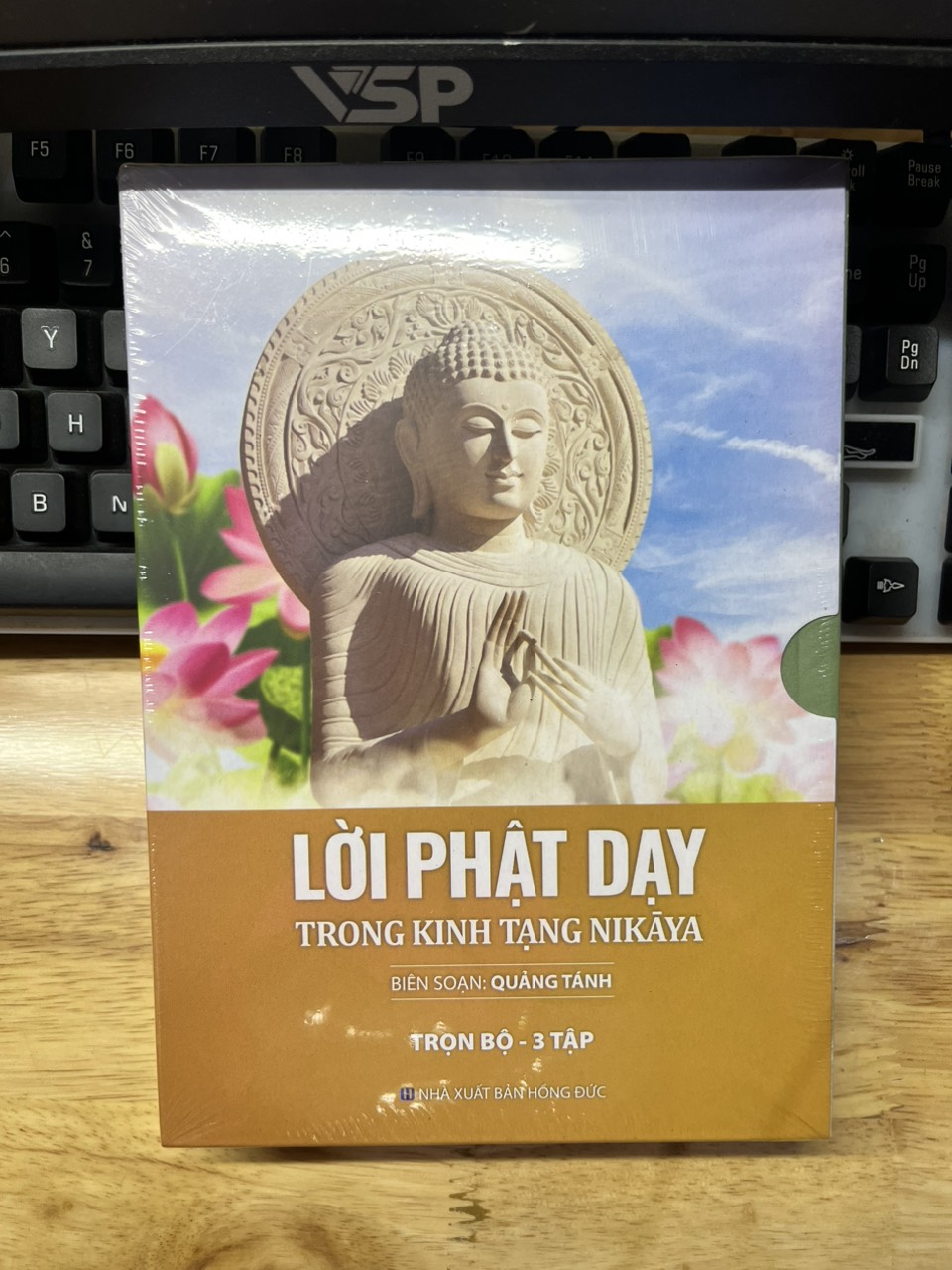 Lời Phật Dạy Trong Kinh Tạng Nikaya (QB)