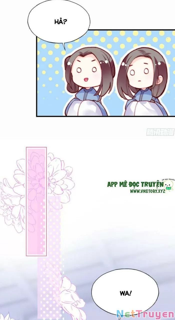 lại bị bệnh chiều chuộng quấn lấy chapter 33 15